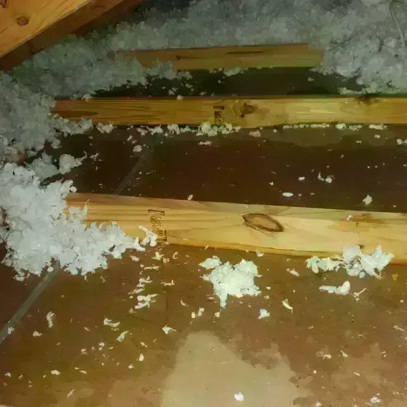 Attic Water Damage in Old Jamestown, MO